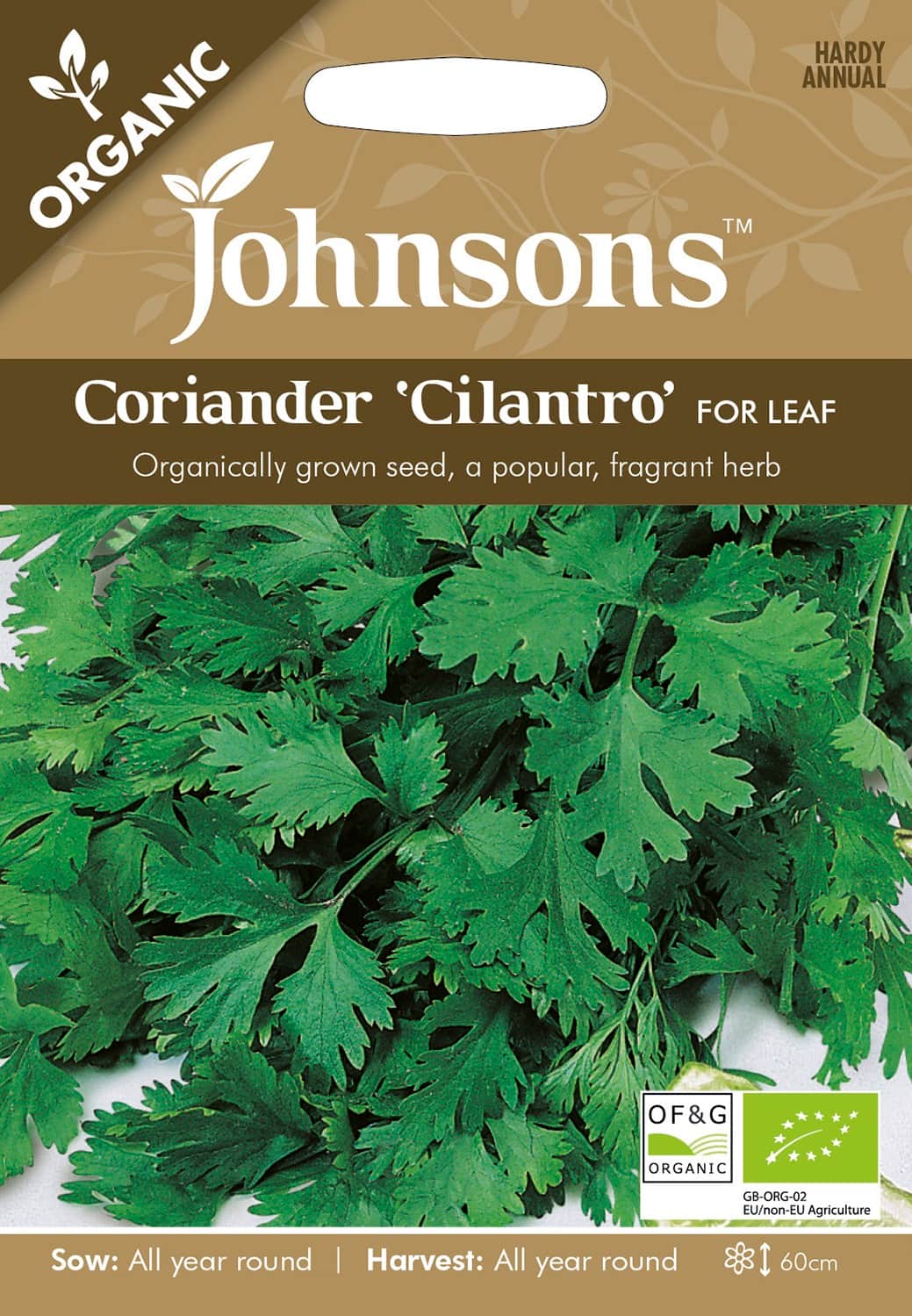 koriander-cilantro-organic-fr-1