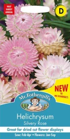 jtteeternell-silvery-rose-1