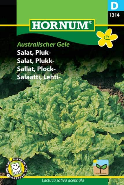 plocksallat-australischer-gele-1