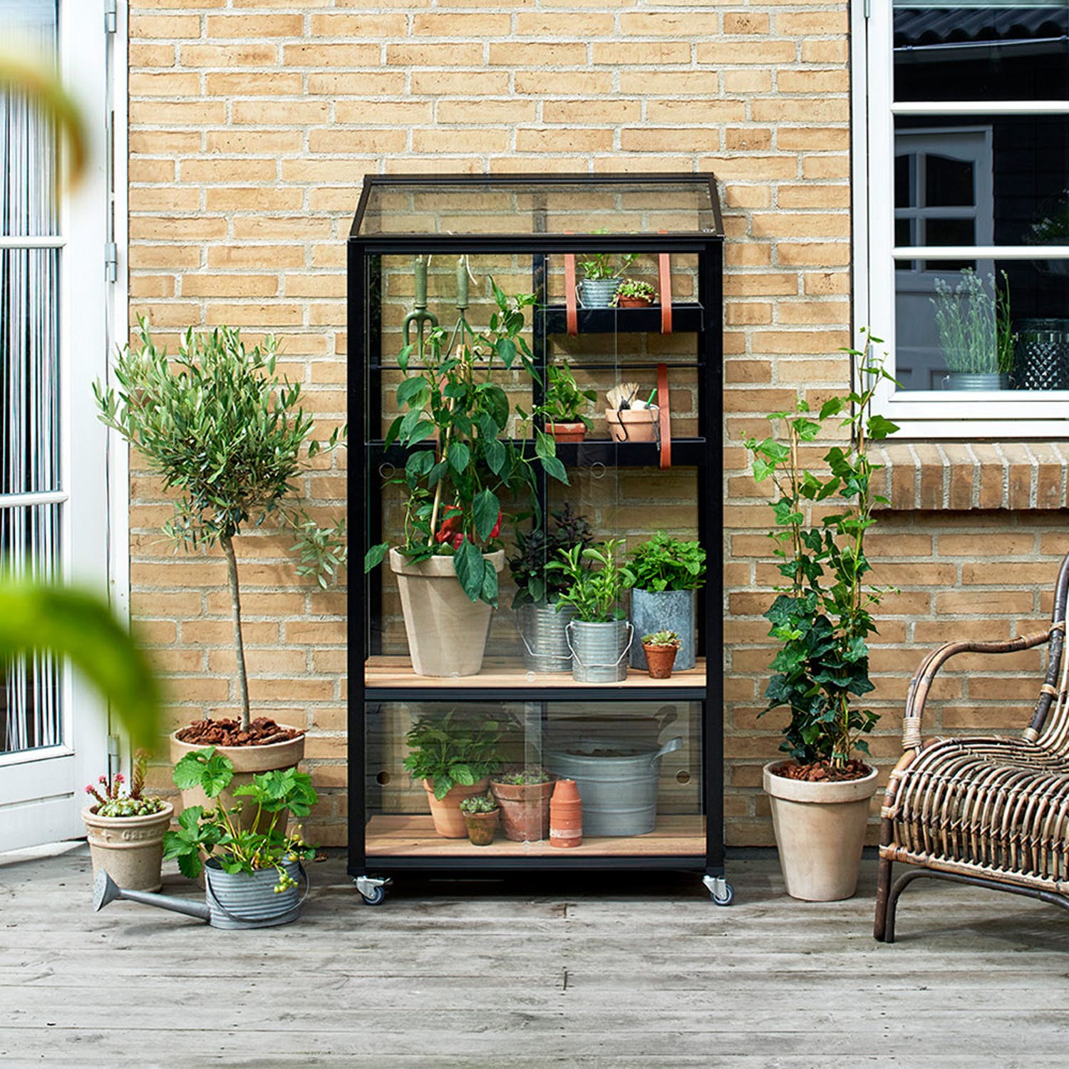 Odlingsskåp ’City Green House’ Härdat glas