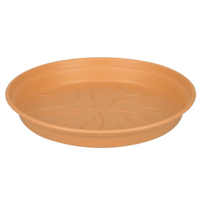 green-basics-fat-29cm---mild-terra-1