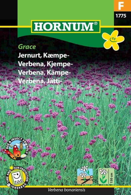 jtteverbena-grace-fr-1