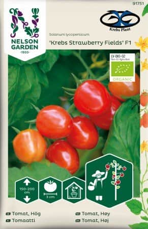 krsbrstomat-krebs-strawberry-fields-f1-eko-1