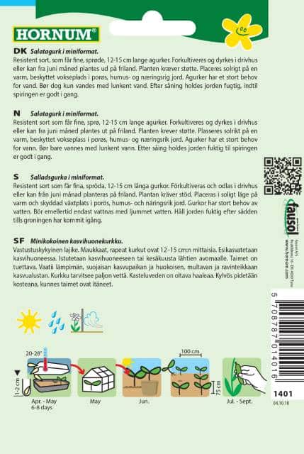 krukgurka-picolino-f1-2