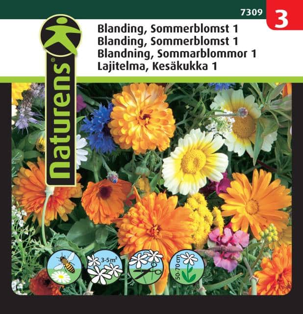 blomsterblandning-sommarblom-1-mix-fr-1