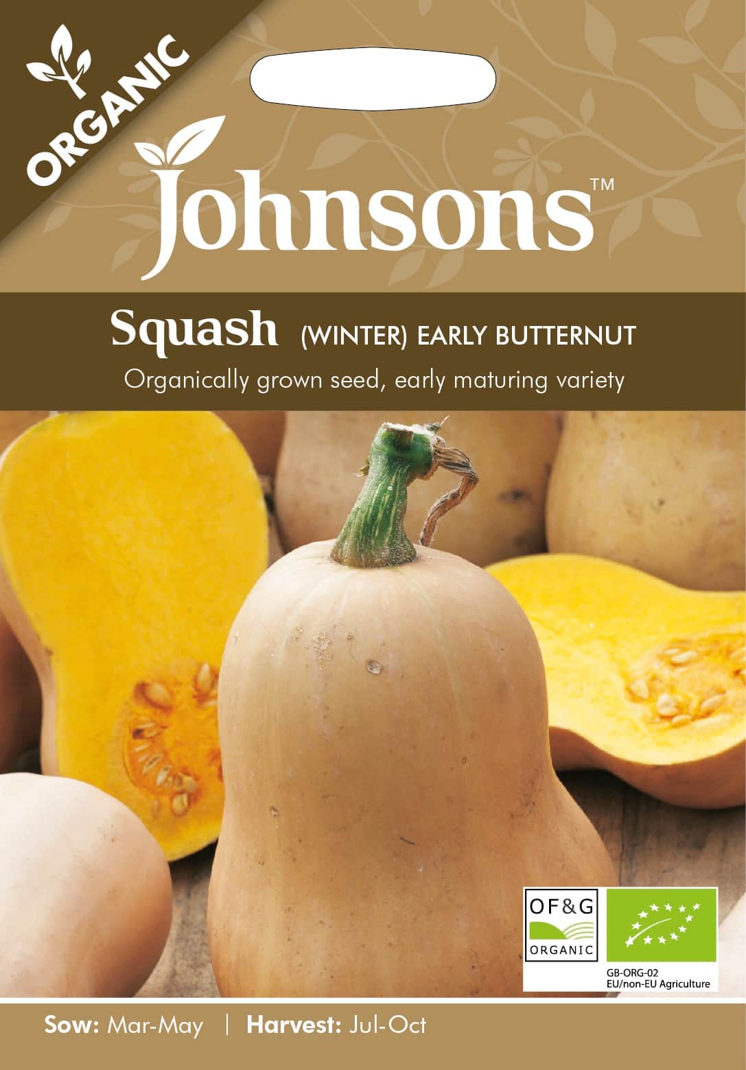 squash-winter-early-butternut-organic-1
