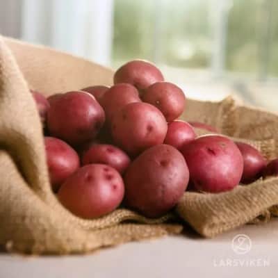 sttpotatis---rosara-1kg-eko-1