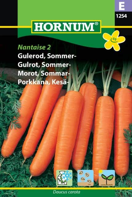 sommarmorot-nantaise-2-fr-1