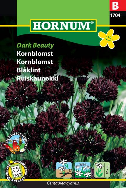 Blåklint ’Dark Beauty’, frö