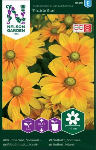 sommarrudbeckia-praire-sun-1