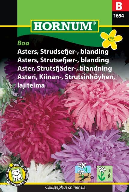 strutsfjderaster-mix-boa-1