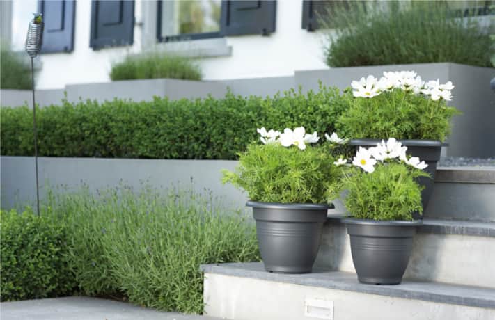 green-basics-campana-dia-50-cm-living-black-2
