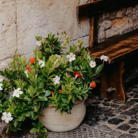 bgarranka-sundaville-classic-white-105cm-kruk-2