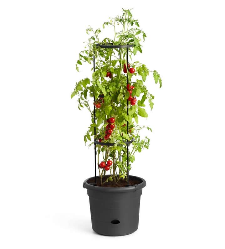 tomat-kruka-33cm---living-black-2