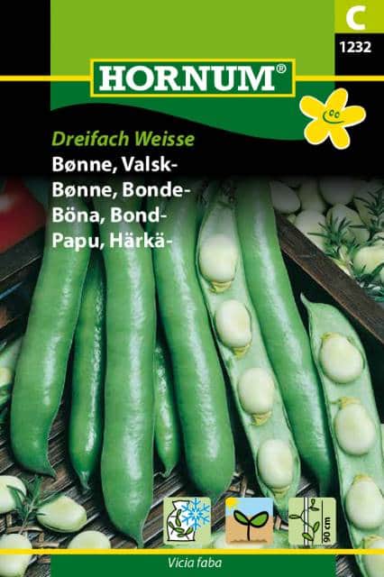 bondbna-dreifach-weisse-1