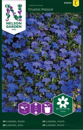 lobelia-kant-crystal-palace-1