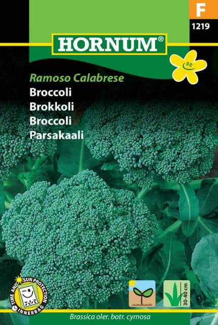 broccoli-ramoso-calabrese-f1-1