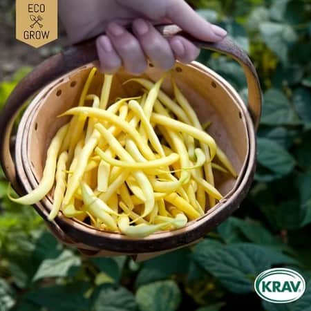 vaxbna-rocquencourt-krav-mrkt-1