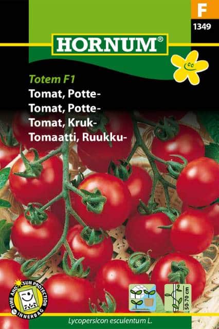 busktomat-totem-f1-1