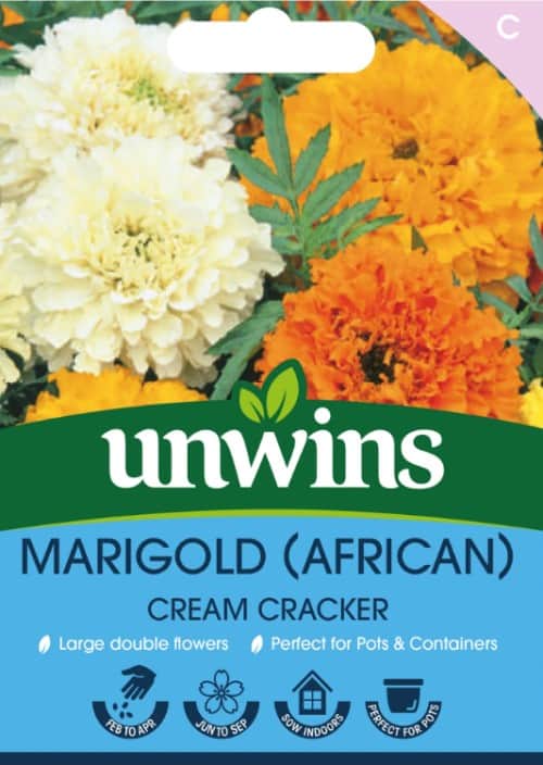 stor-tagetes-cream-cracker-mix-1
