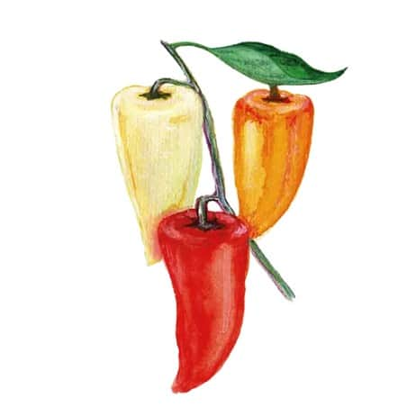 paprika-ferenc-tender-svenskodlat-fr-1