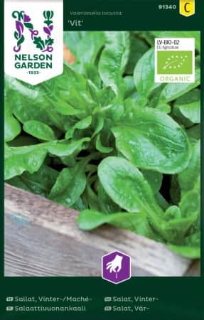 vintersallat-vit-eko-1