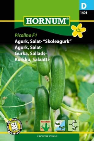 krukgurka-picolino-f1-1