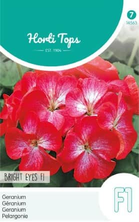 pelargon-bright-eyes-f1-1