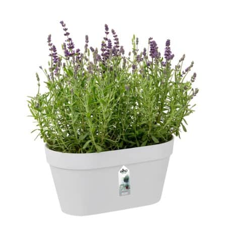 loft-urban-green-wall-duo-28cm-white-1