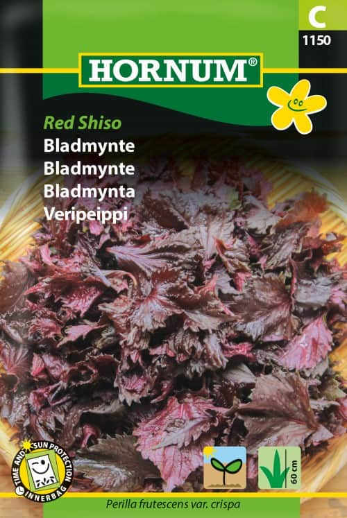 bladmynta-red-shiso-1