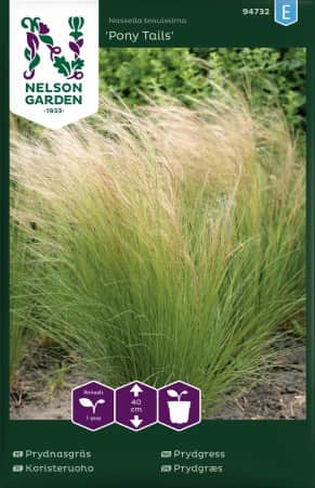 prydnadsgrs-pony-tails-1