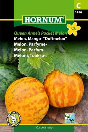 mangomelon-queen-annes-pocket-melon-1