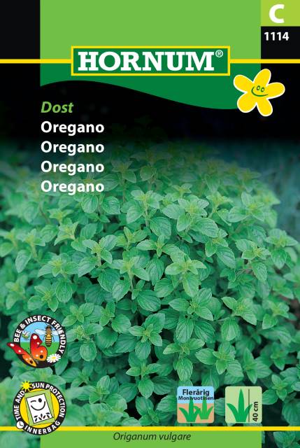 Oregano ’Dost’ frö