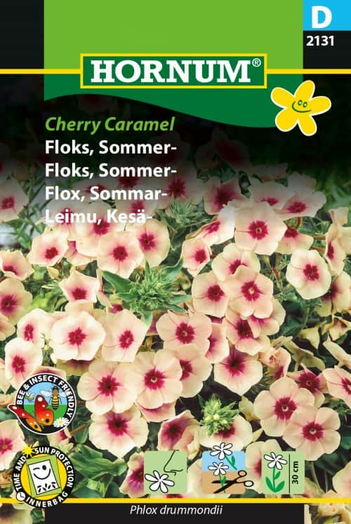 sommarflox-cherry-caramel-1