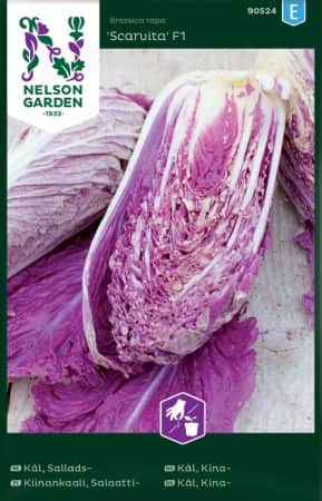 salladskl-scarvita-f1-1
