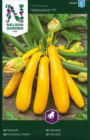 squash-yellowstar-f1-1