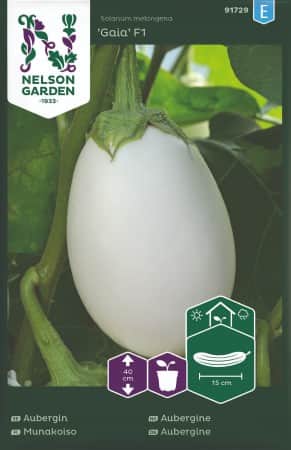 aubergin-gaia-f1-1