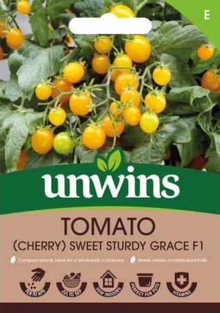 krsbrstomat-sweet-sturdy-grace-f1-1