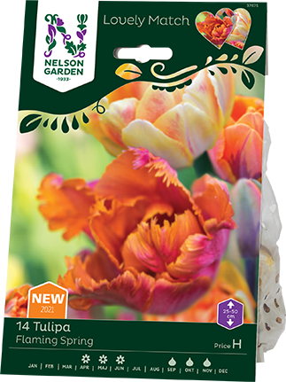 tulpan-lm-flaming-spring-mix-2