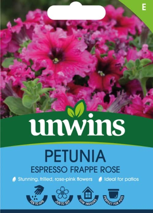 petunia-espresso-frappe-rose-1