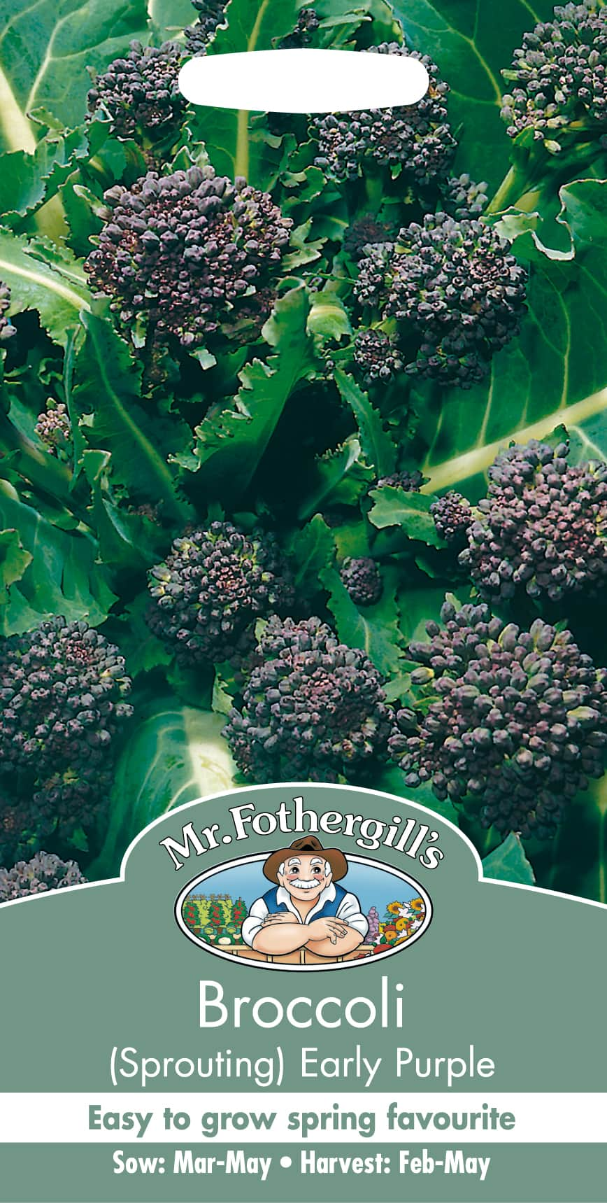 broccoli-early-purple-1