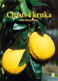 citrus-i-kruka-av-eva-rnnblom-1