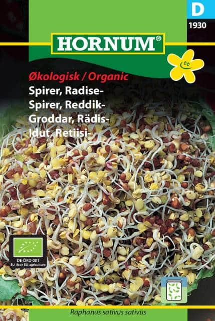 groddar-rdisa-organic-1