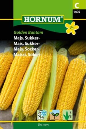 sockermajs-golden-bantam-1