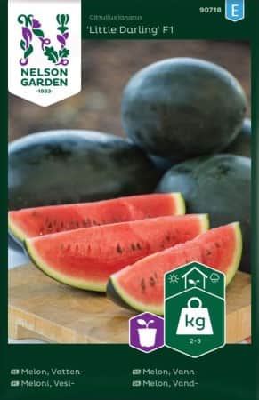 vattenmelon-little-darling-f1-1