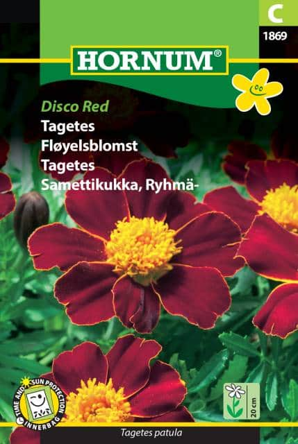 sammetstagetes-disco-red-fr-1