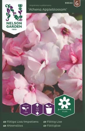 flitiga-lisa-athena-appleblossom-f1-1