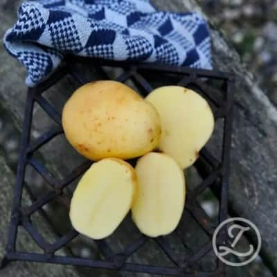 sttpotatis---connect-1kg-eko-1