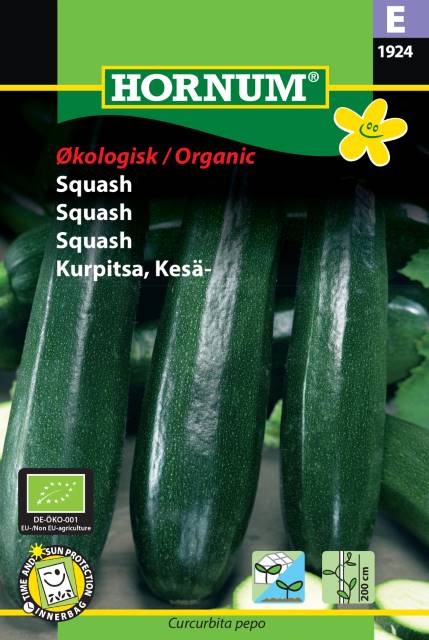Squash 'Black Beauty' Organic