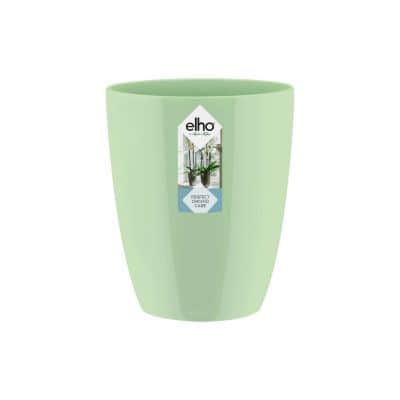 brussels-orchid-high-125cm-soft-green-1